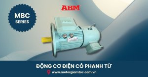 Động cơ điện có phanh ABM - MBC Series