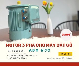 motor 3 pha cho máy cắt gỗ