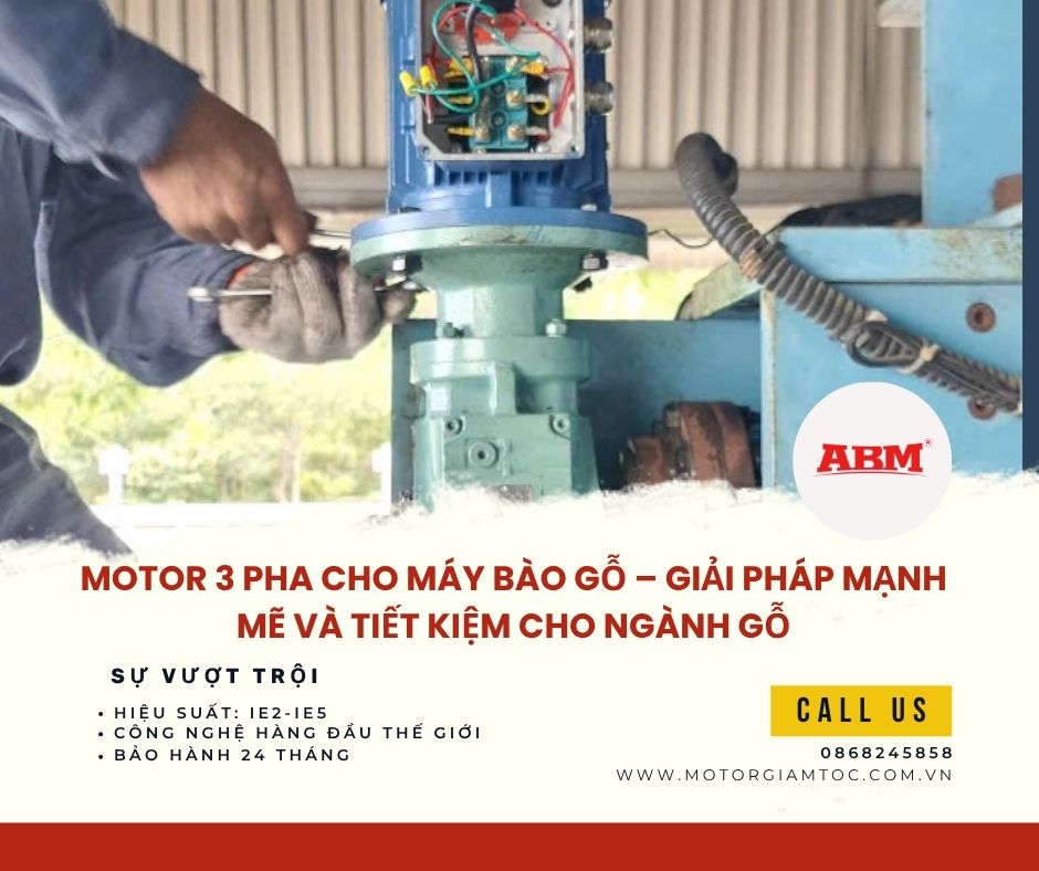motor 3 pha cho máy bào gỗ